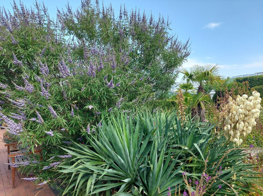 Oranjerie De Groene Parel Den Helder-登海尔德必去景点