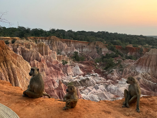 Saidi Agency Kenya-瓦塔木必去景点