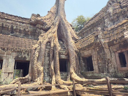 Cambodia Driver Taxi-金边必去景点