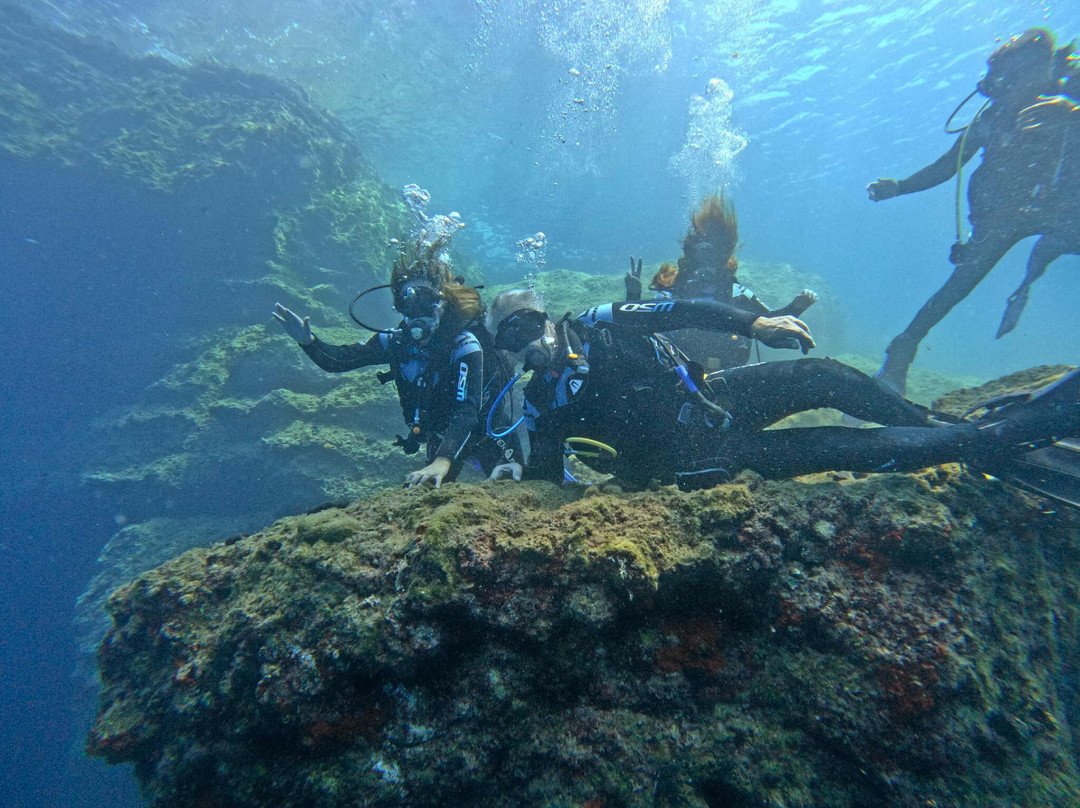 Amphibious Diving Center-Cholargos必去景点