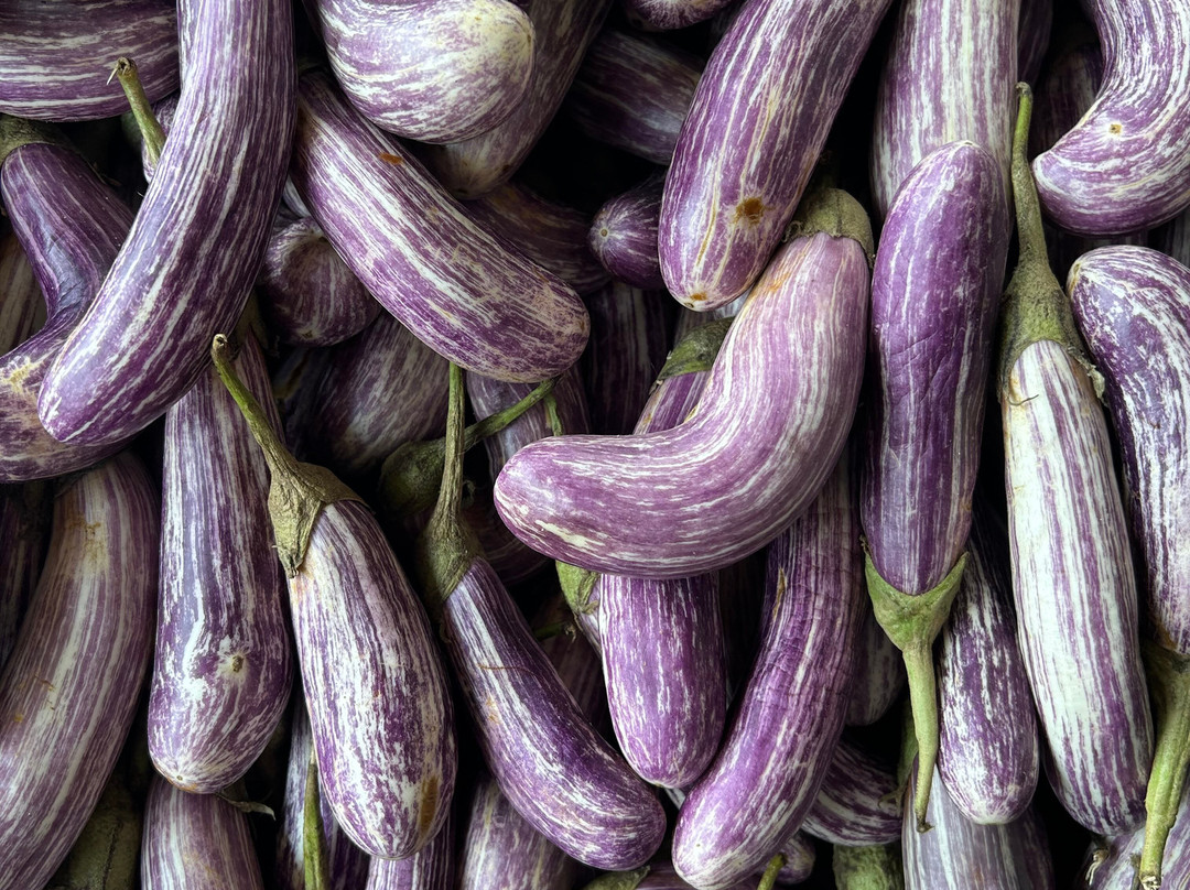 Angara Home Cookery Demo class-Talpe必去景点