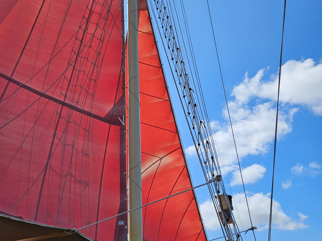 American Rover Sailing Cruises-诺福克必去景点