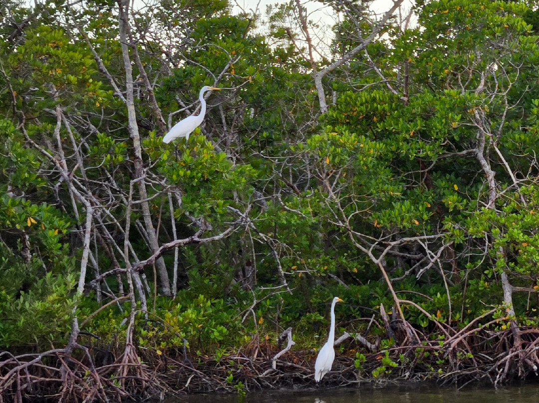 Gasparilla Boat Tours-恩格尔伍德必去景点
