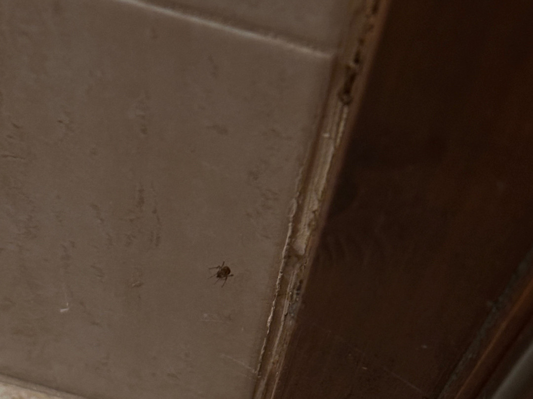 Ataviros Hotel主图