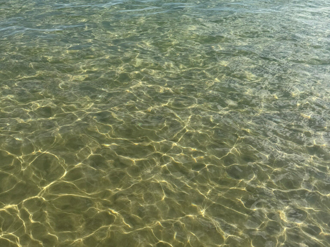 Spiaggia dei Colombi-维耶斯泰必去景点