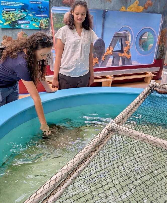 Marine Science Center-Ponce Inlet必去景点