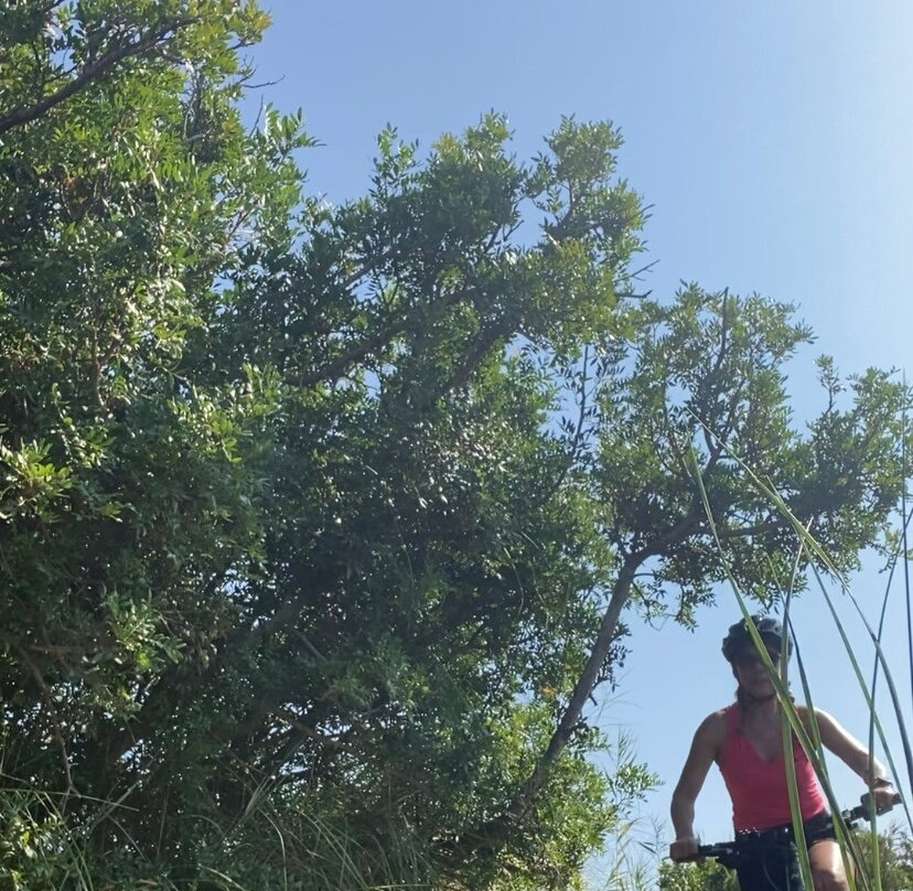 GATTU-Borgo必去景点