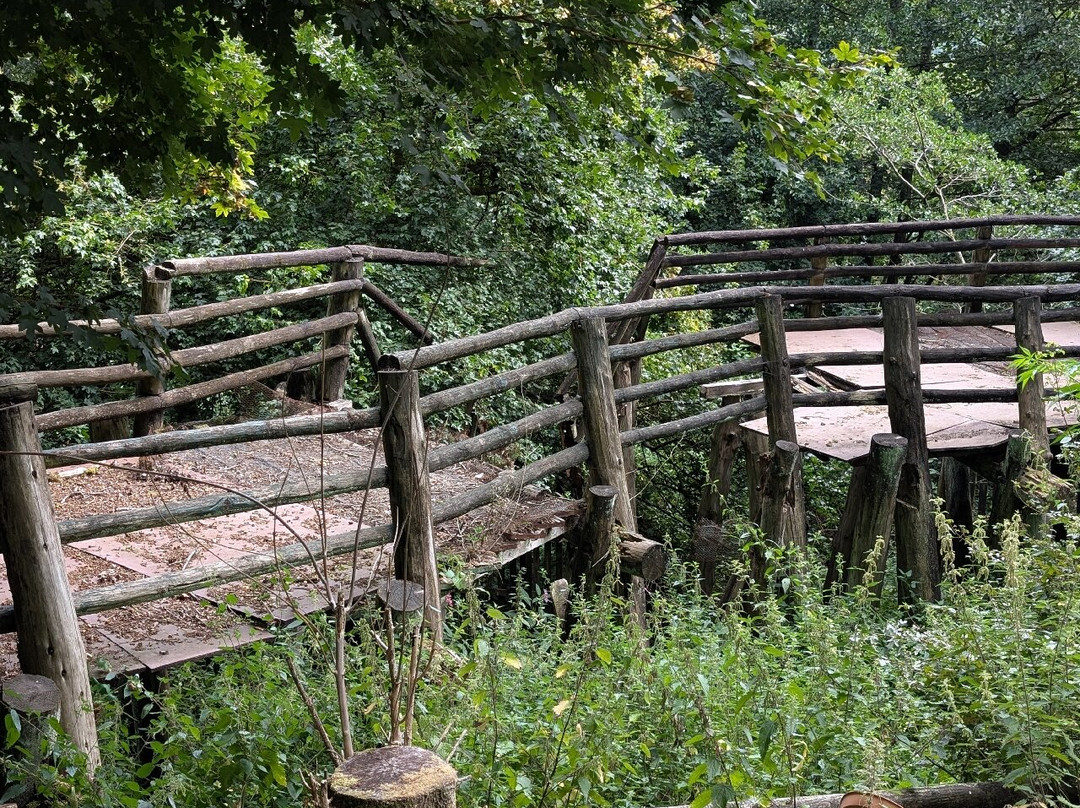 Festival Park Owl Sanctuary-Ebbw Vale必去景点