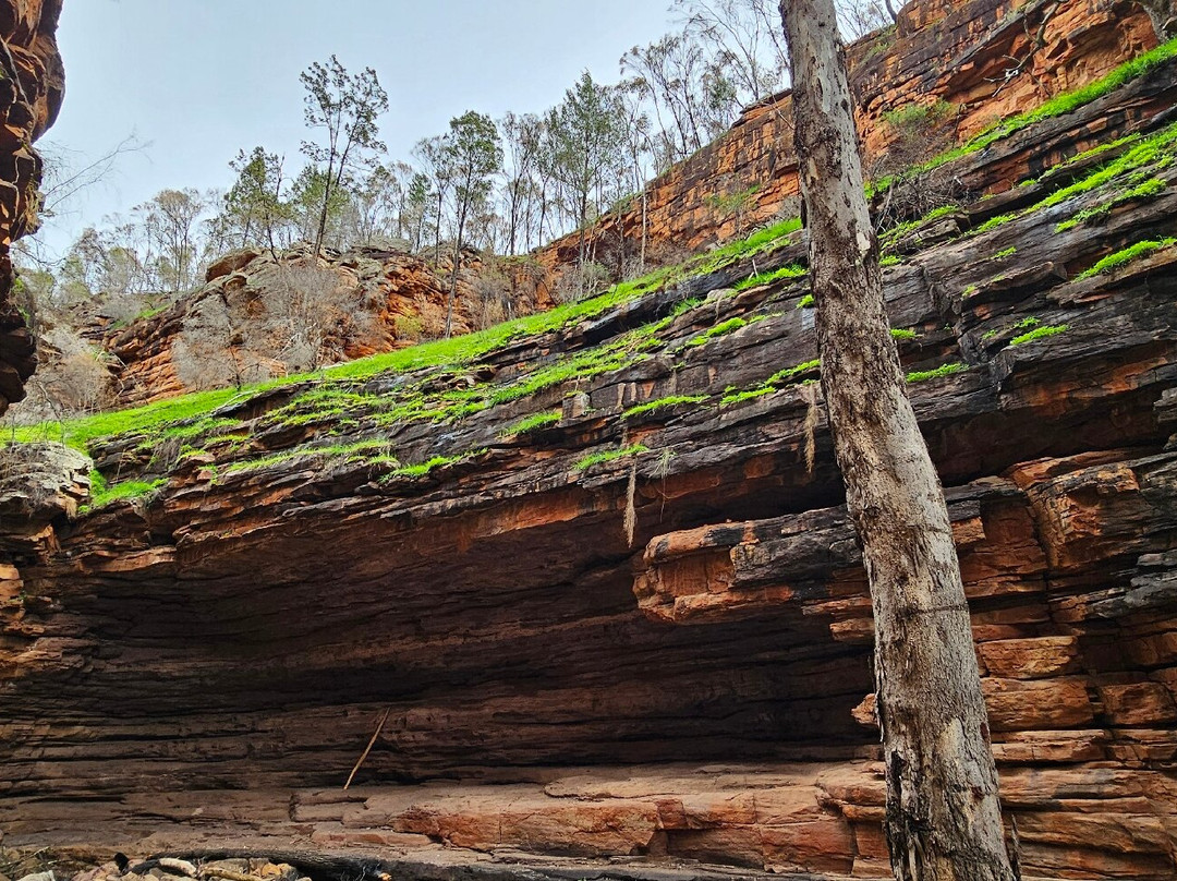 Alligator Gorge-Wilmington必去景点