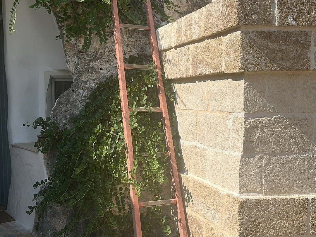 Masseria Pelosella B&B主图