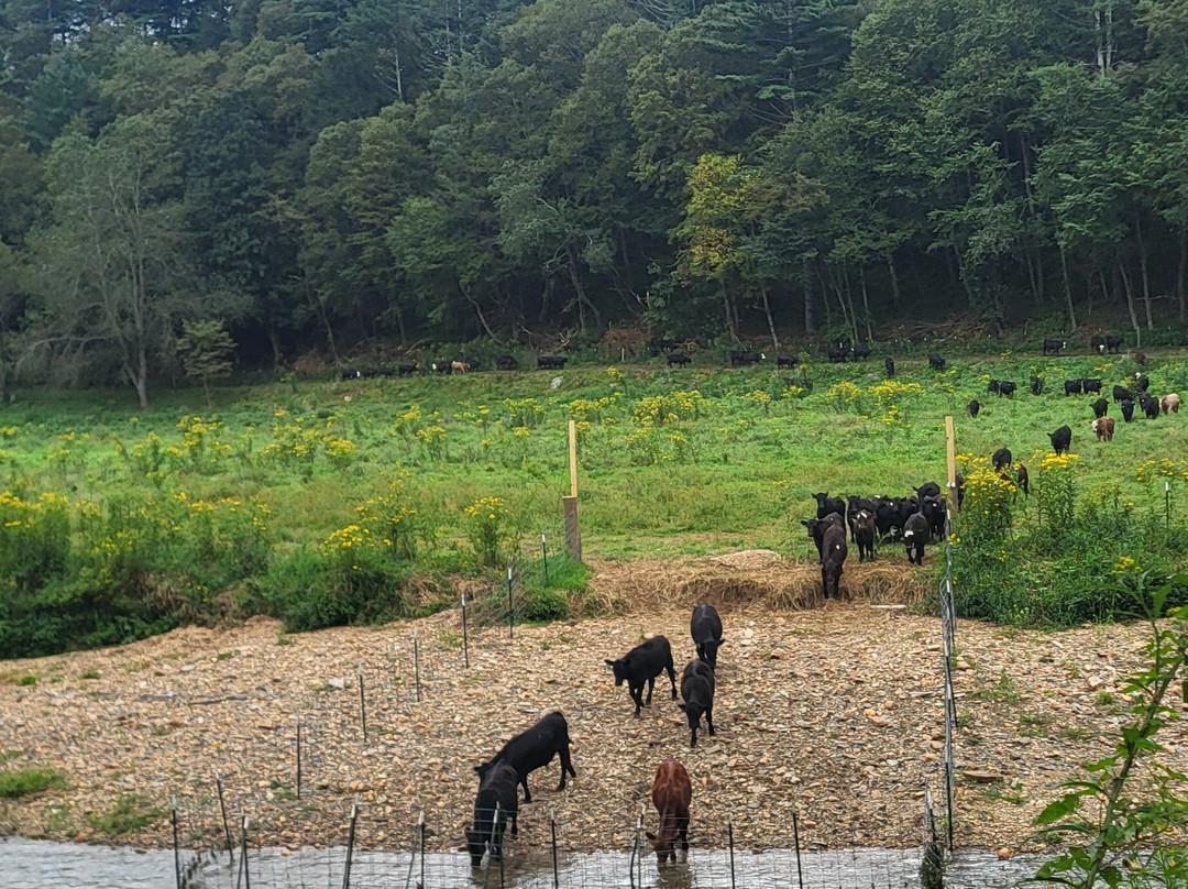 RiverGirl Fishing Co-Todd必去景点