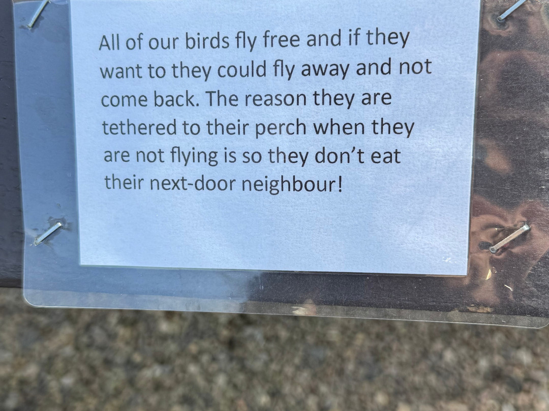 Kielder Water Bird of Prey Centre-Kielder必去景点
