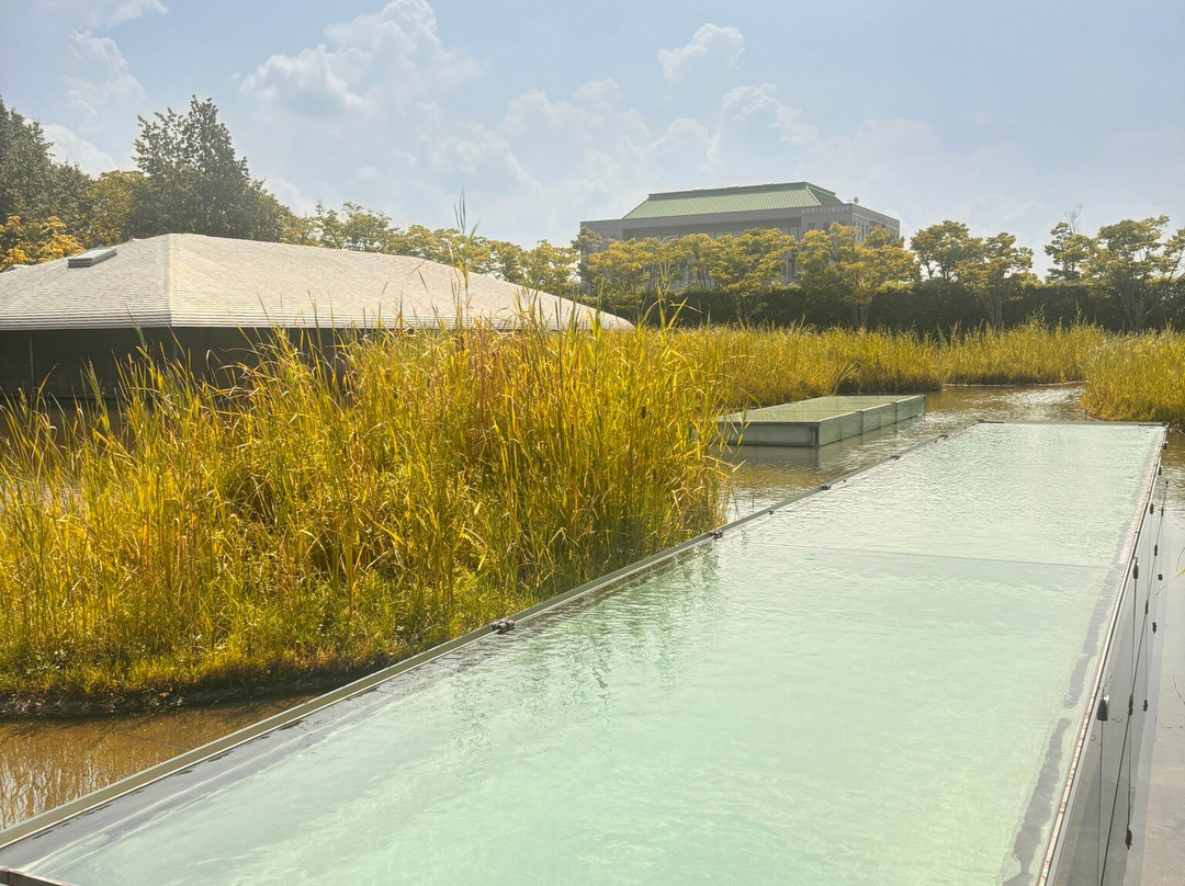 Sagawa Art Museum-守山市必去景点