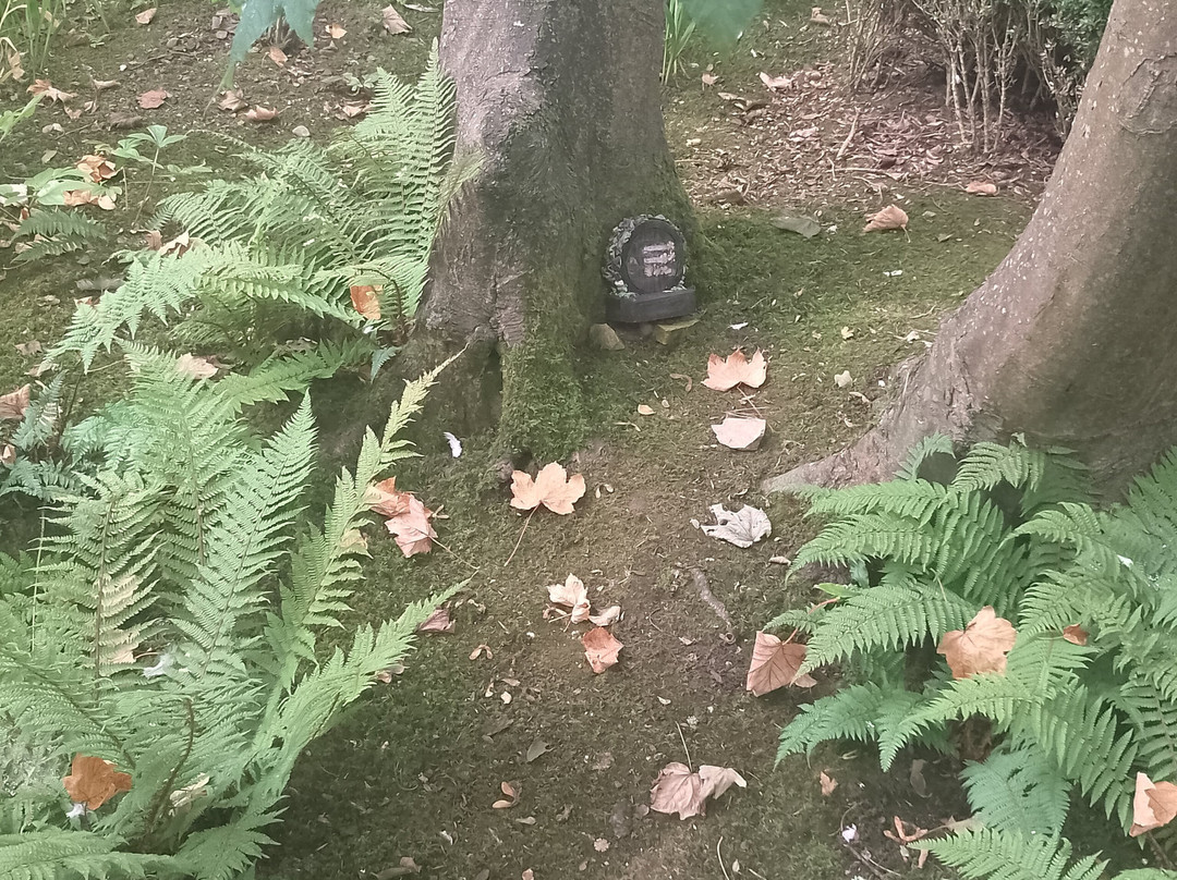 Lafcadio Hearn Japanese Gardens-特拉莫尔必去景点