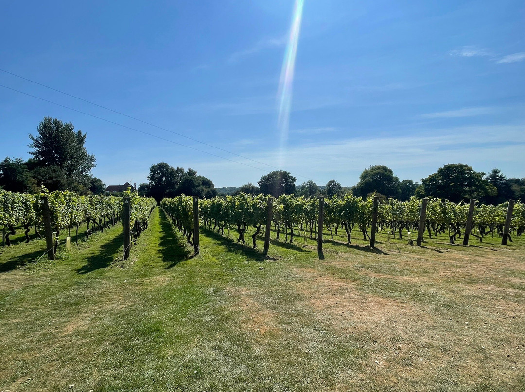 Chapel Down-Tenterden必去景点