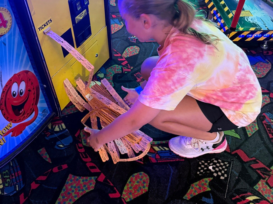 Craigs Cruisers - Holland-荷兰村必去景点