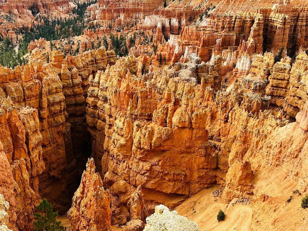 Bryce Amphitheatre-布莱斯峡谷国家公园必去景点