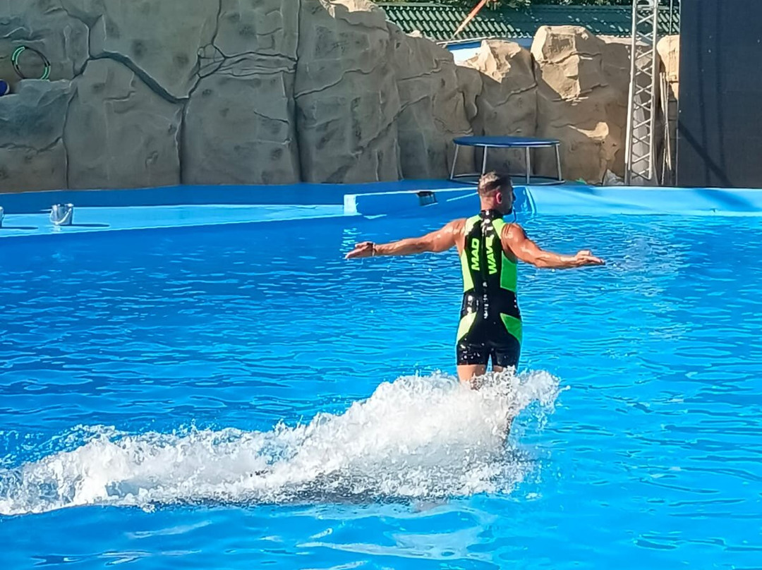 Dolphinarium-Yeysk必去景点