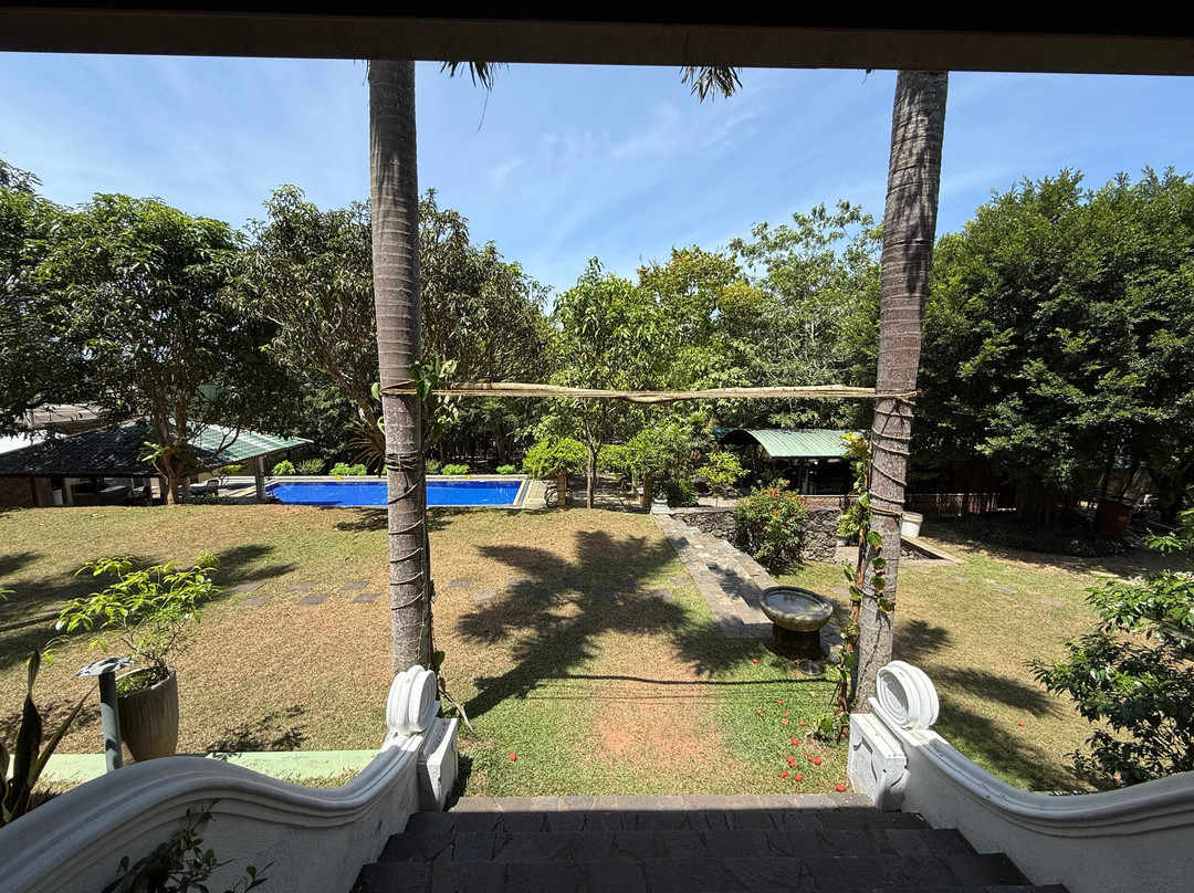 Green Olive Villa主图