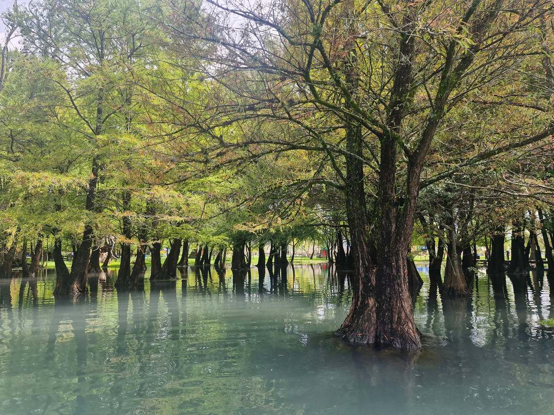 Lago de Camécuaro National Park-Tangancicuaro必去景点
