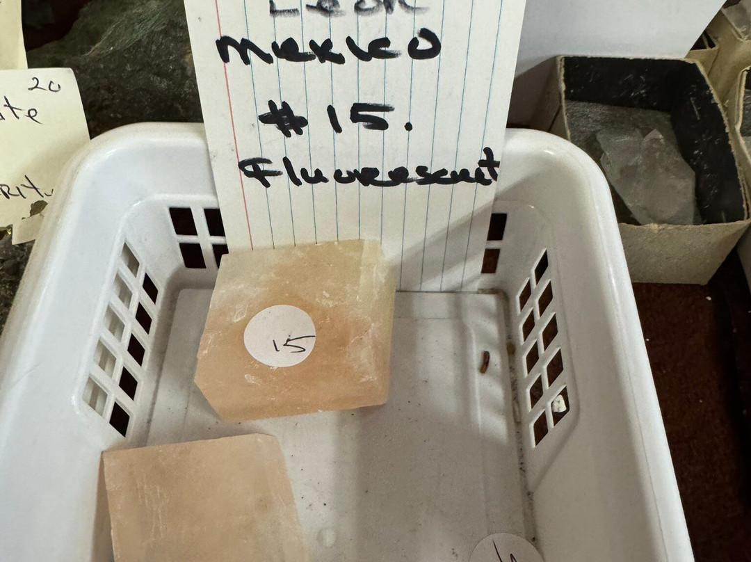 The Rock Shop-白马市必去景点