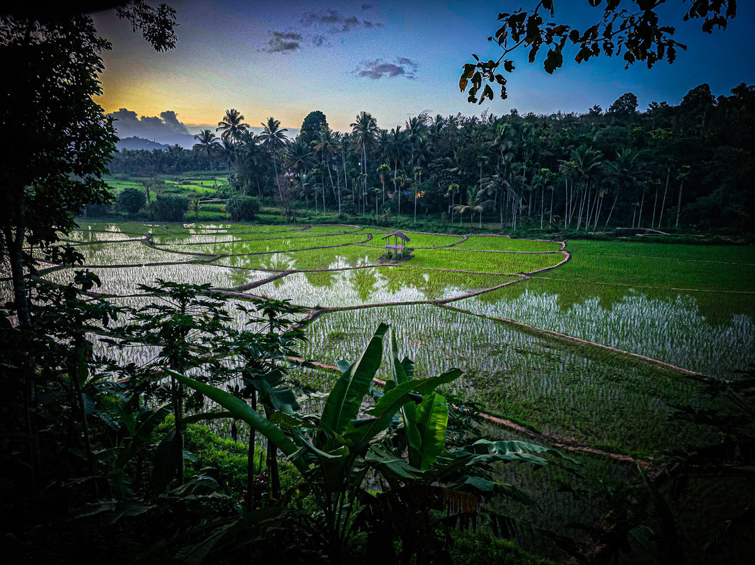 Crystal Kuruva Nature Resort & Spa主图