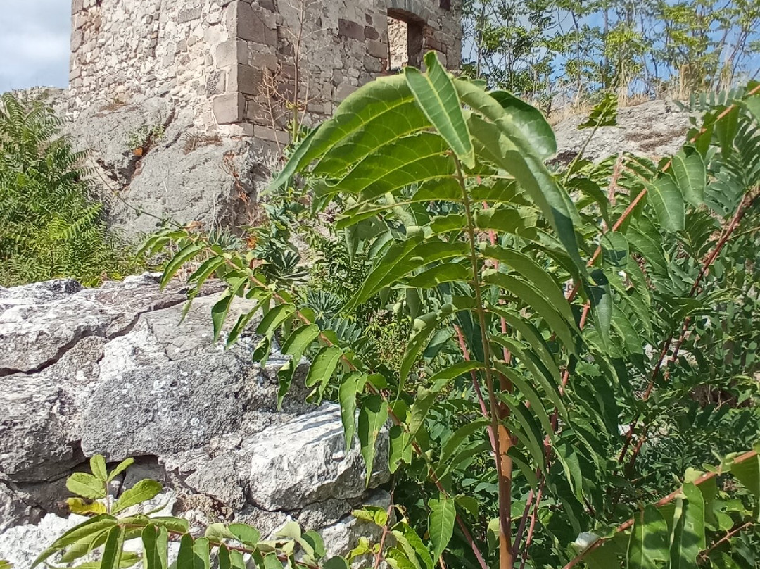 Borgo Medievale-Gessopalena必去景点