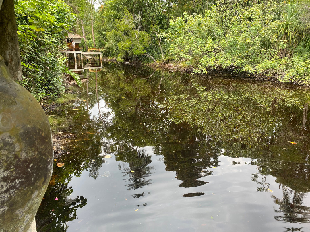 Aroma River Spa-拉歌意必去景点