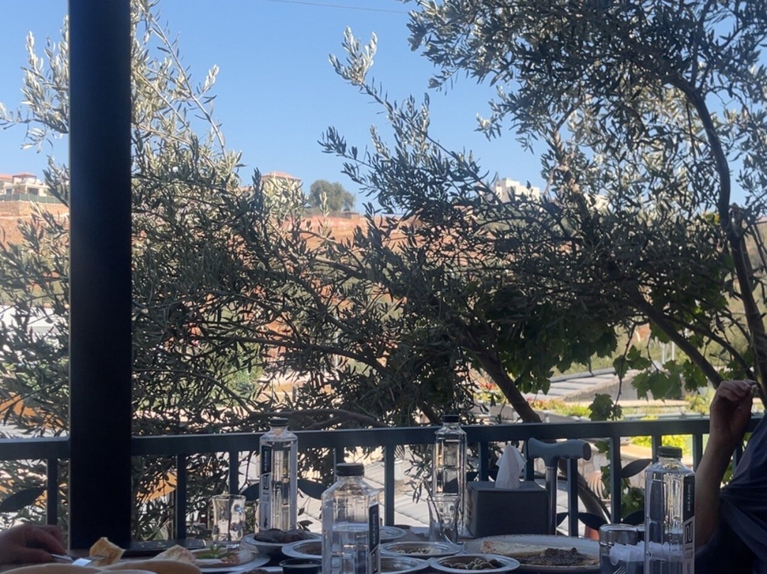 Bait Shaker-Al Salt必去景点