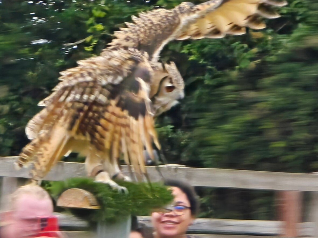 Finkley Down Farm-Andover必去景点