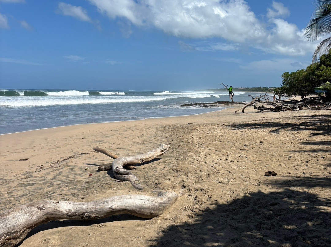 Avellanas Surf School-Playa Avellanas必去景点