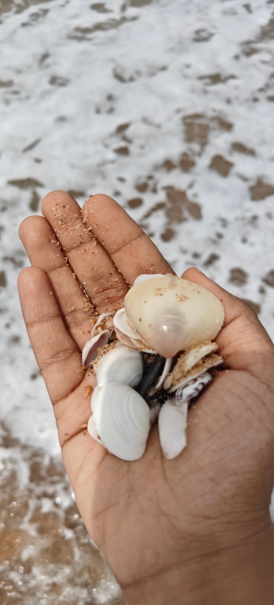 O Hotel Goa, Candolim Beach-泳池