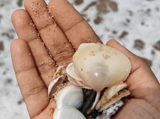 O Hotel Goa, Candolim Beach主图