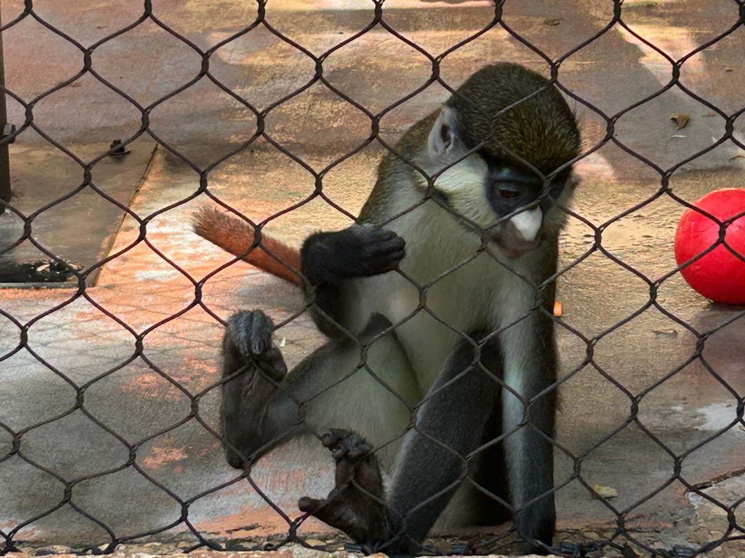 Greenville Zoo-格林维尔必去景点