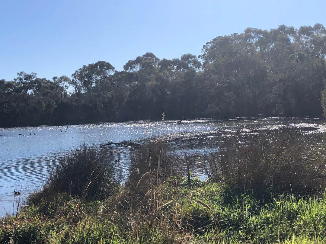 Jells Park-威勒斯山必去景点