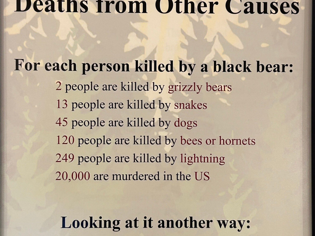 North American Bear Center-伊利必去景点