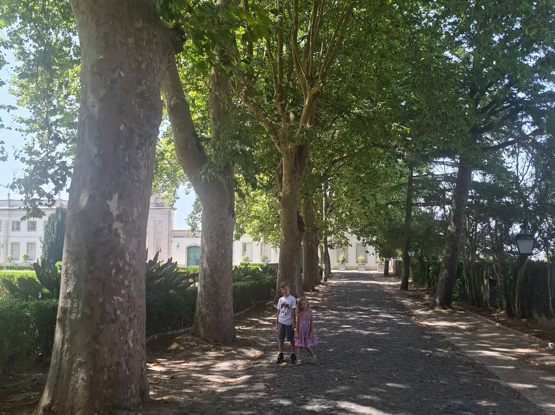 Tours Bernardo-辛特拉必去景点