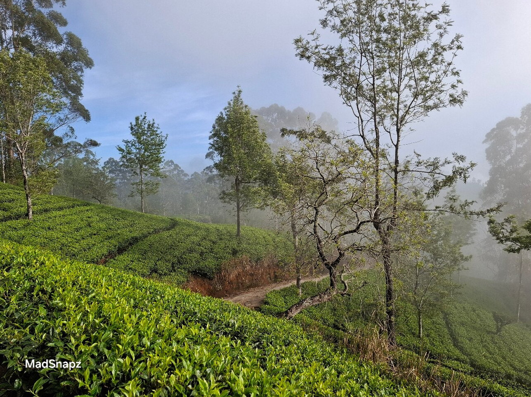 Haputale Tuk Tuk Tours-哈普特莱必去景点