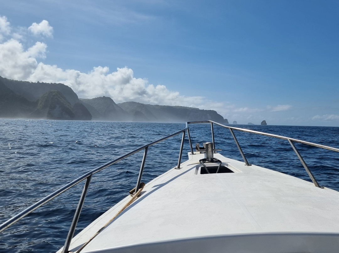 Purple Dive Penida-珀尼达岛必去景点