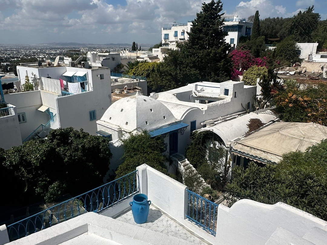 Museum Dar el-Annabi-蓝白小镇必去景点