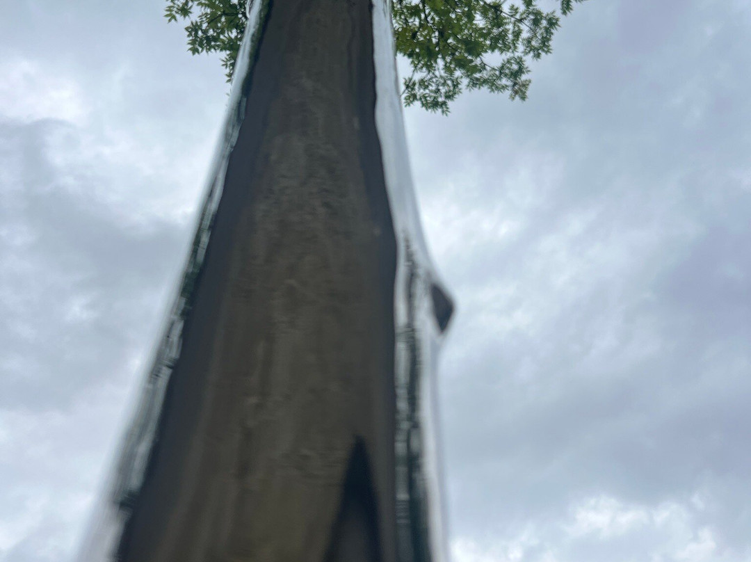 Not Vital + Parkin Sent-Sent必去景点