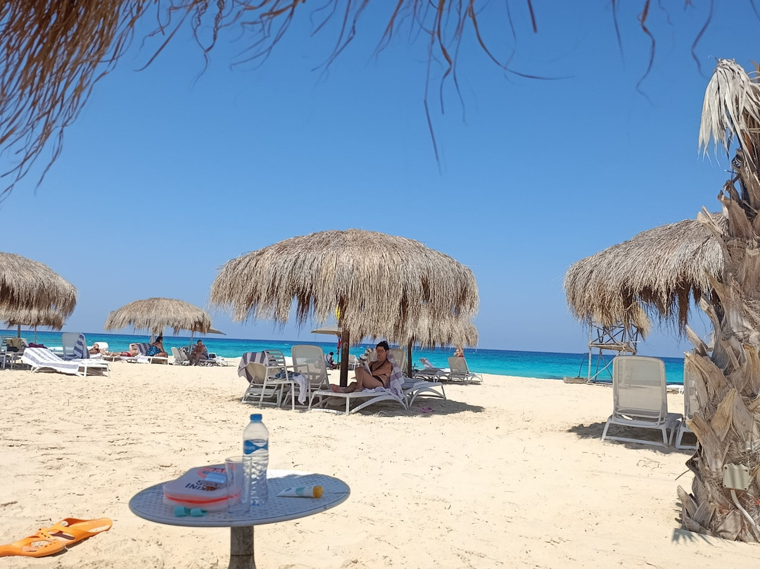 Kynd 01 - Ras El Hikma, GAIA Compound