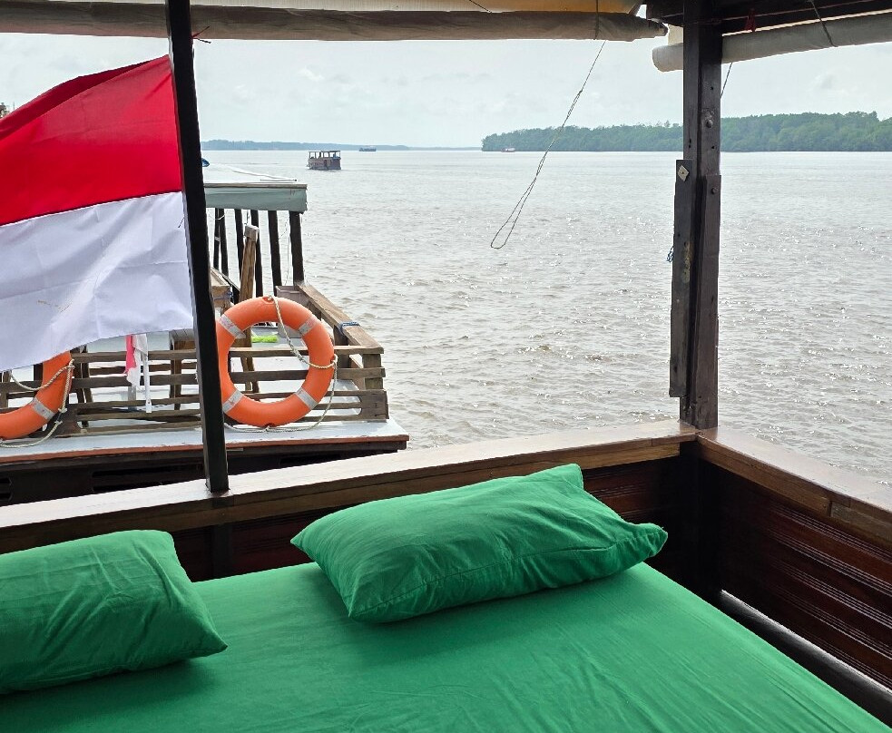 Toris Orangutan Tour-Kumai必去景点