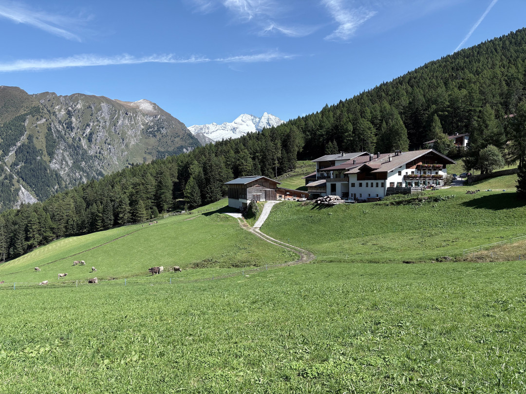 Berggasthof Steckholzer主图