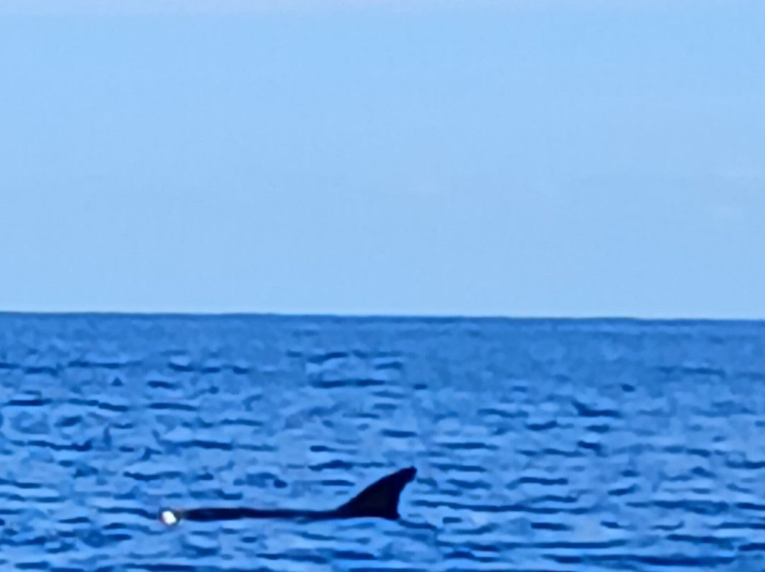 Balagne Aventures Corsica, promenades, excursions en bateau à Sant Ambroggio,en Balagne, en Corse-Lumio必去景点