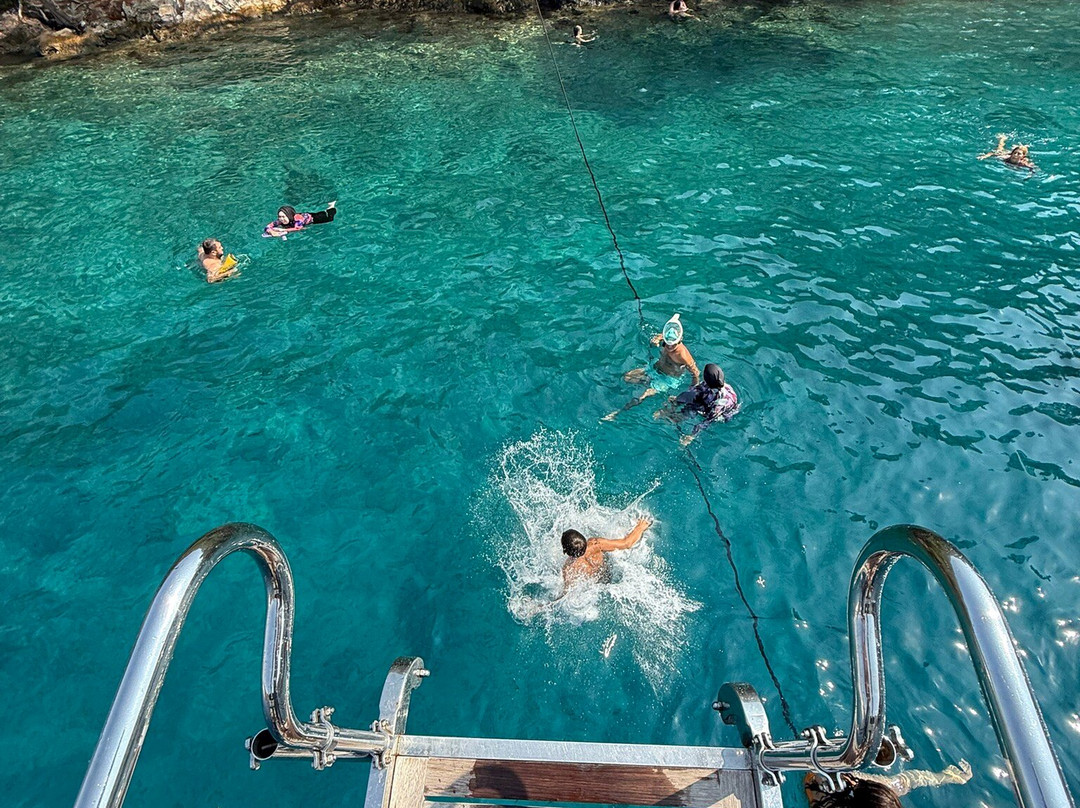 Aviva 2 Gunluk Tur Teknesi-戈西克必去景点