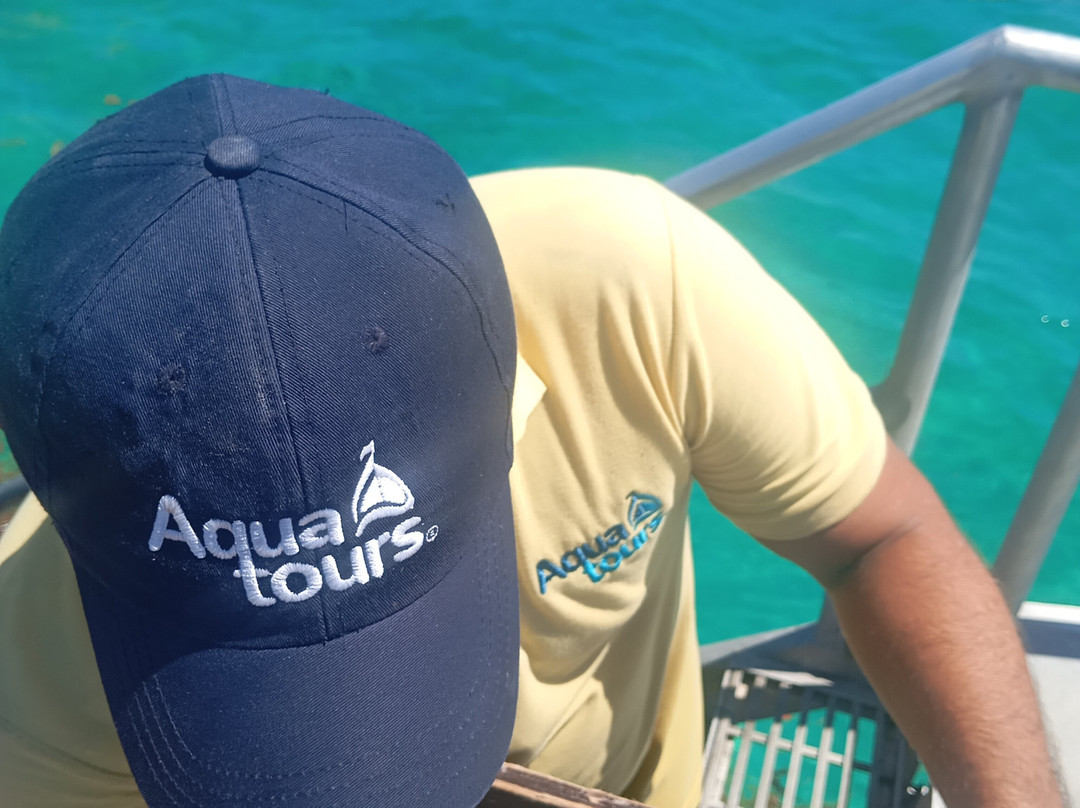 海豚发现秀-坎昆必去景点