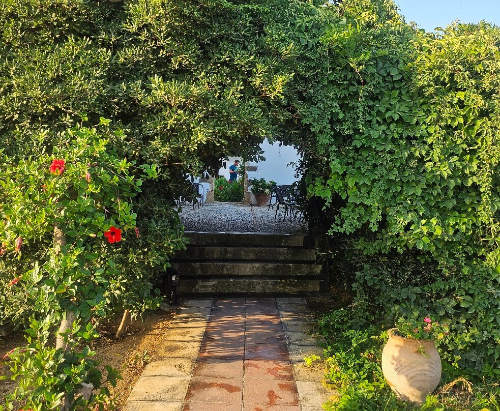 Oasis Guesthouse主图