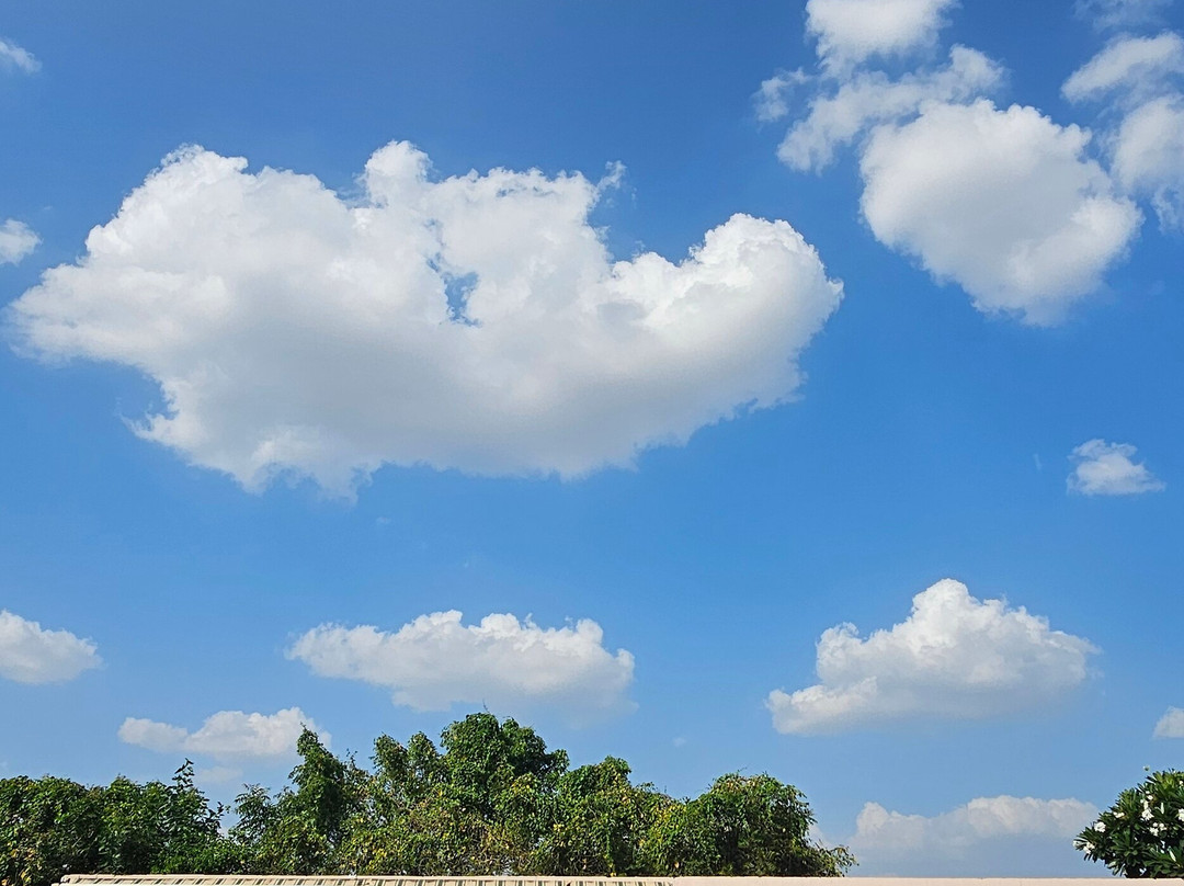 The Lal Vilas Hotels & Resorts主图