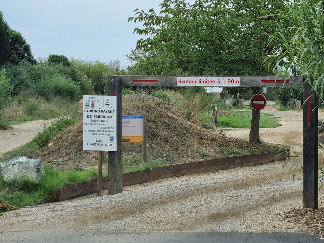 Plage de Pardigon-Cavalaire-Sur-Mer必去景点